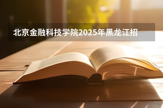 北京金融科技学院2025年黑龙江招生计划总览（2026高考志愿参考）