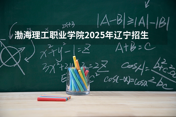渤海理工职业学院2025年辽宁招生计划总览（2026高考志愿参考）