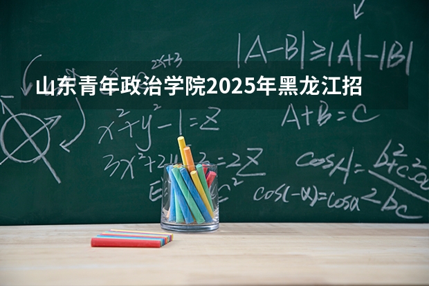 山东青年政治学院2025年黑龙江招生计划总览（2026高考志愿参考）
