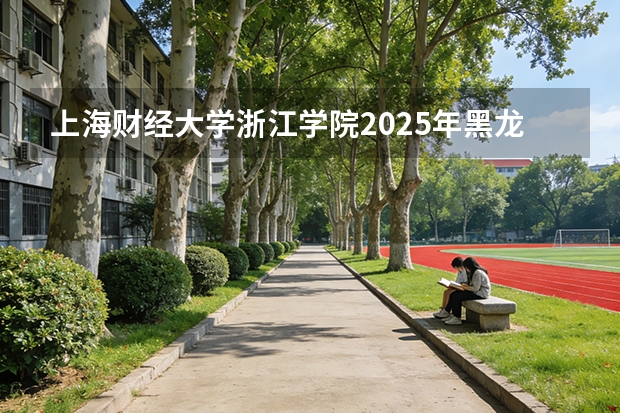 上海财经大学浙江学院2025年黑龙江招生计划总览（2026高考志愿参考）