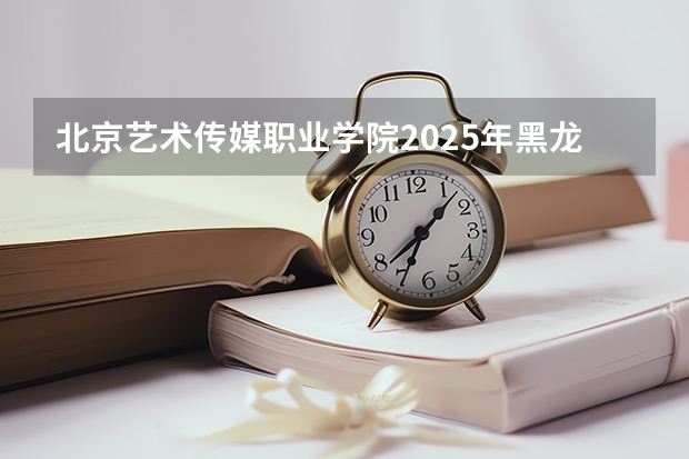 北京艺术传媒职业学院2025年黑龙江招生计划总览（2026高考志愿参考）