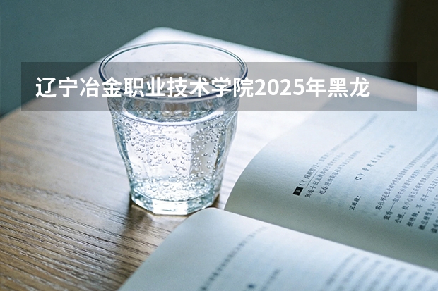 辽宁冶金职业技术学院2025年黑龙江招生计划总览（2026高考志愿参考）