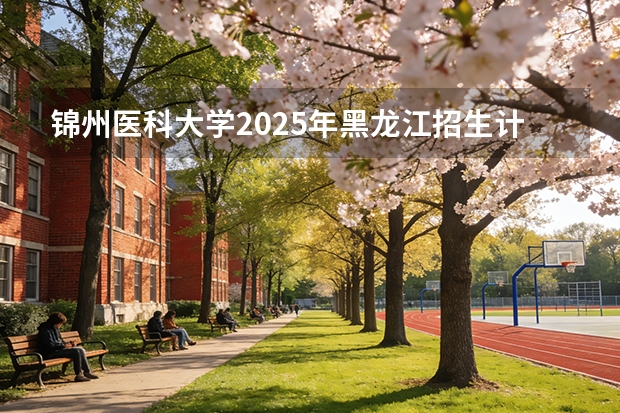 锦州医科大学2025年黑龙江招生计划总览（2026高考志愿参考）