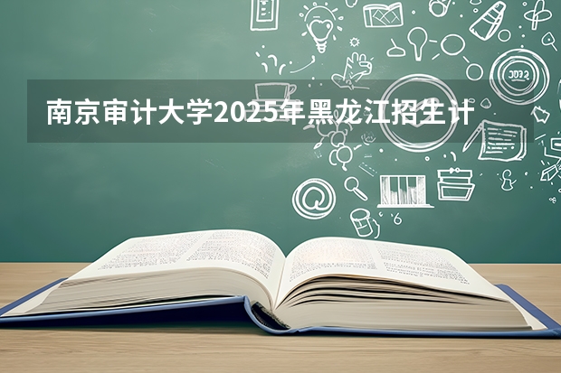 南京审计大学2025年黑龙江招生计划总览（2026高考志愿参考）