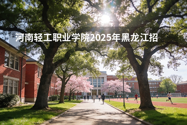 河南轻工职业学院2025年黑龙江招生计划总览（2026高考志愿参考）