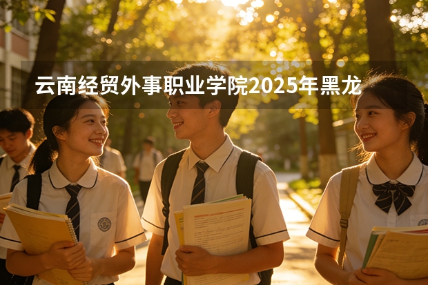 云南经贸外事职业学院2025年黑龙江招生计划总览（2026高考志愿参考）
