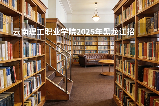 云南理工职业学院2025年黑龙江招生计划总览（2026高考志愿参考）