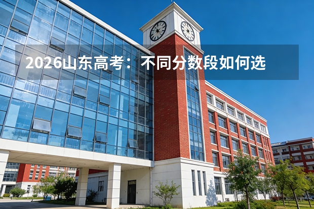 2026山东高考：不同分数段如何选择地域、学校和专业