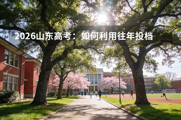 2026山东高考：如何利用往年投档数据精准定位