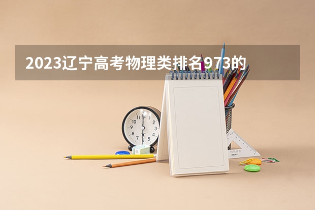2023辽宁高考物理类排名973的考生报什么大学好 学校往年录取分数线