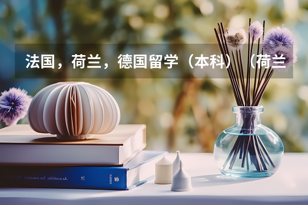 法国，荷兰，德国留学（本科）（荷兰大学录取分数线）