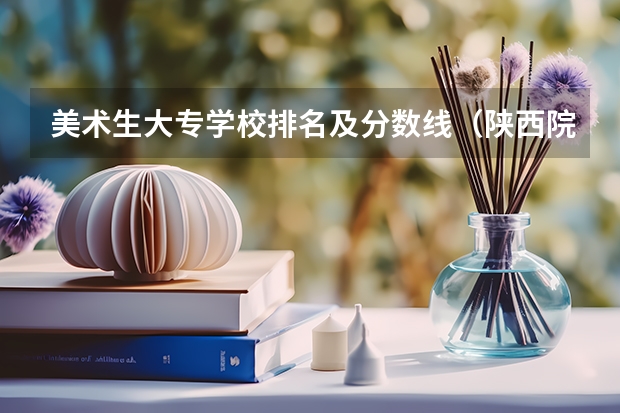 美术生大专学校排名及分数线（陕西院校排名及分数线）
