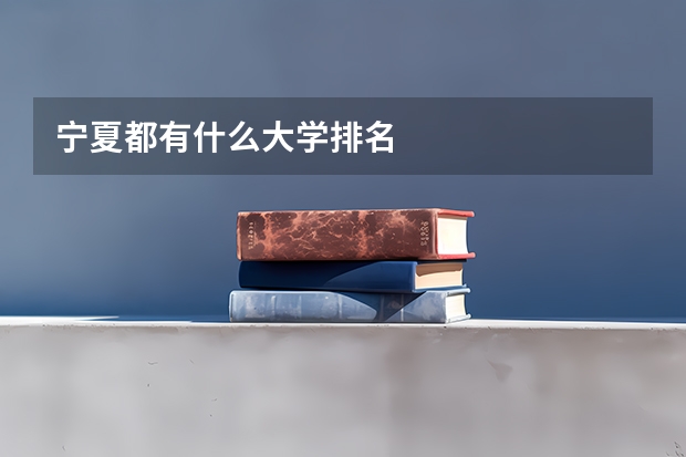 宁夏都有什么大学排名