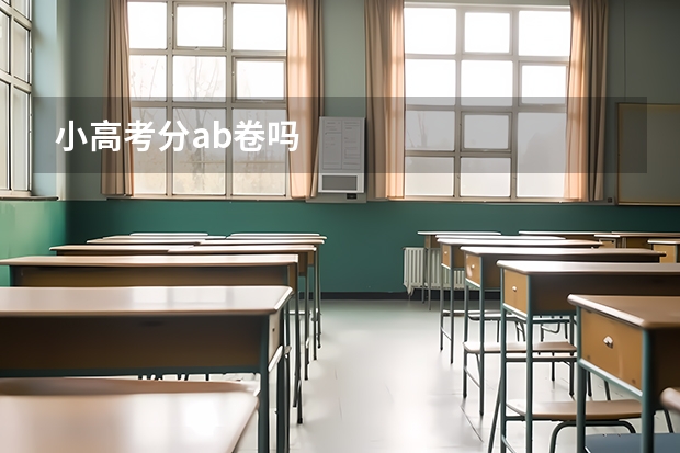 小高考分ab卷吗