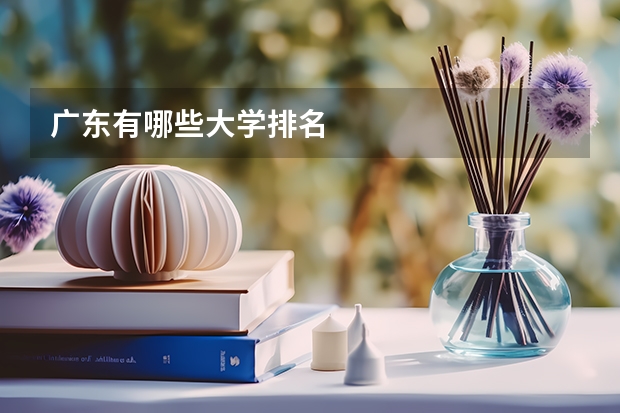 广东有哪些大学排名