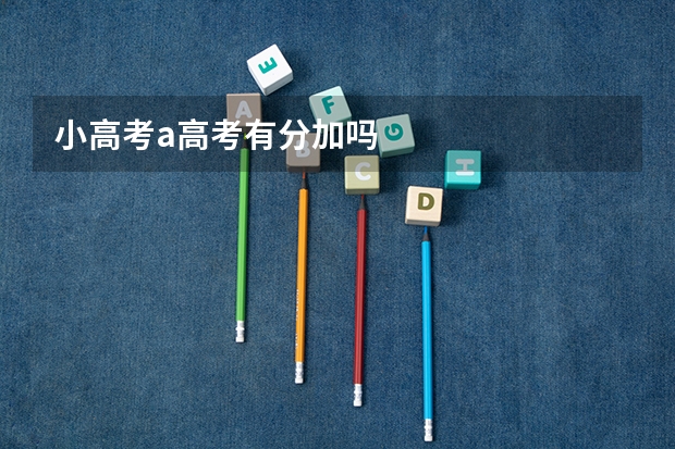 小高考a高考有分加吗