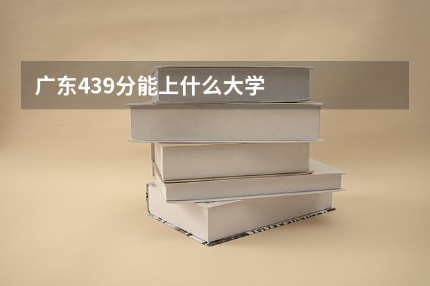 广东439分能上什么大学