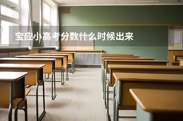 宝应小高考分数什么时候出来