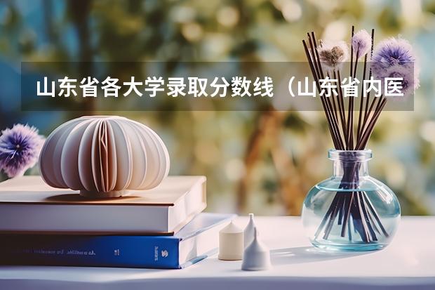 山东省各大学录取分数线（山东省内医学院排名和录取分数线）