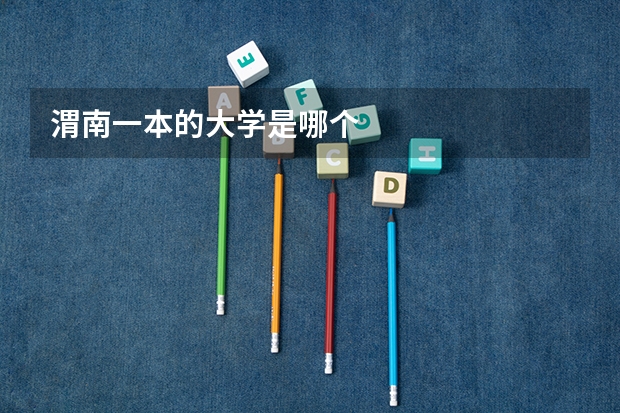 渭南一本的大学是哪个
