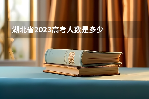 湖北省2023高考人数是多少