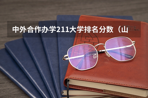 中外合作办学211大学排名分数（山东外国语大学录取分数线）