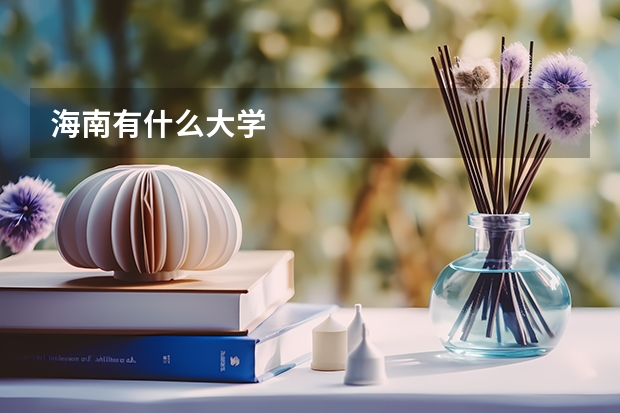 海南有什么大学