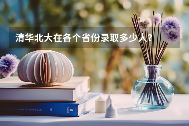 清华北大在各个省份录取多少人？