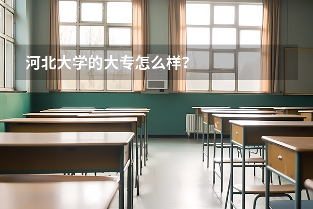 河北大学的大专怎么样?