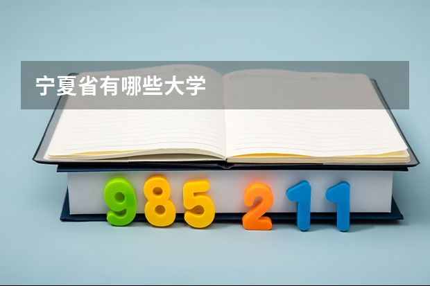 宁夏省有哪些大学