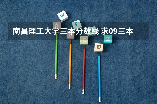 南昌理工大学三本分数线 求09三本院校在浙江的投档分数!!急!!!