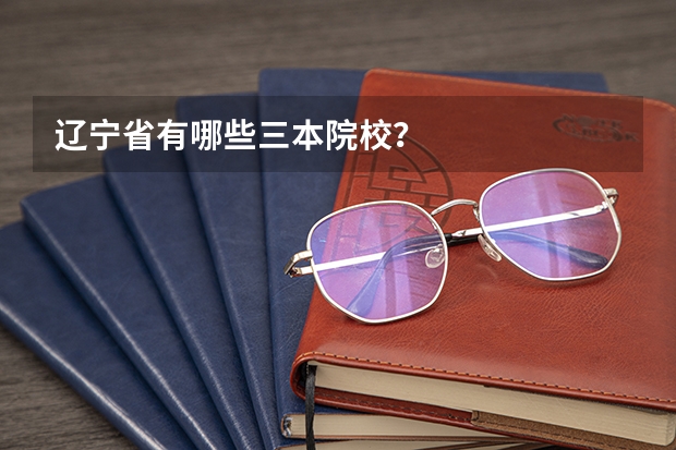辽宁省有哪些三本院校？