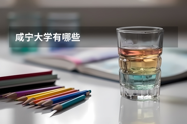 咸宁大学有哪些