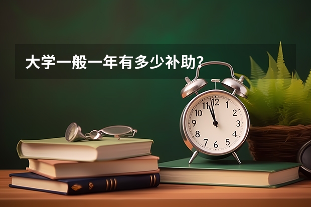 大学一般一年有多少补助？
